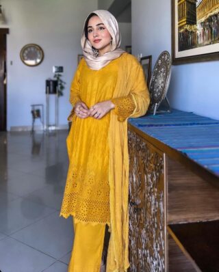 amna khan x alishbanaeem